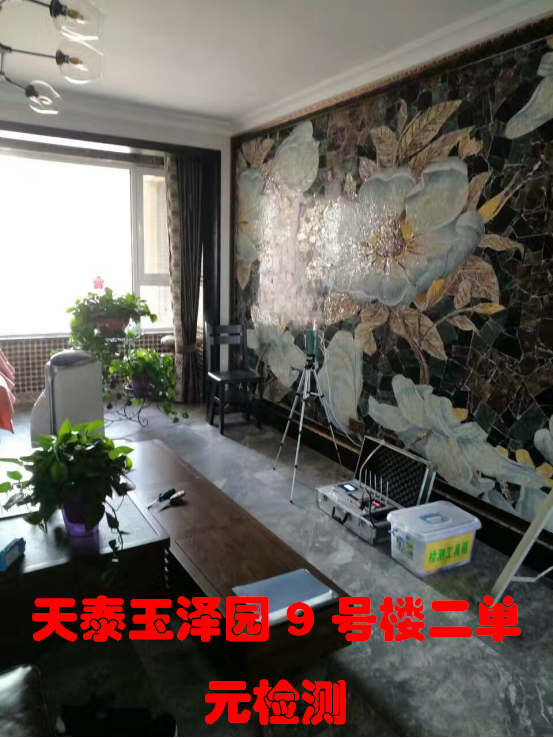 天泰玉澤園9號(hào)樓二單元檢測
